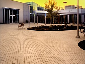 Narrow Modular Pavers 62